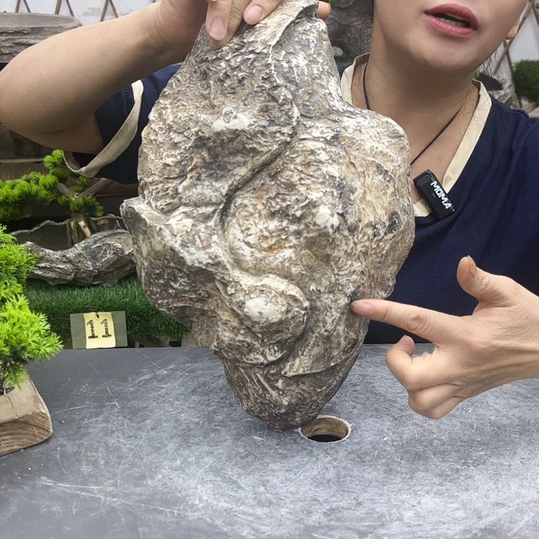盆景盆盆景盆P1-005