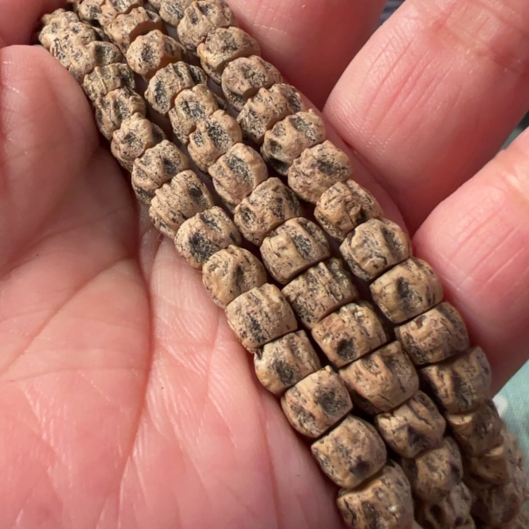 吊坠柏香籽/百香籽J503