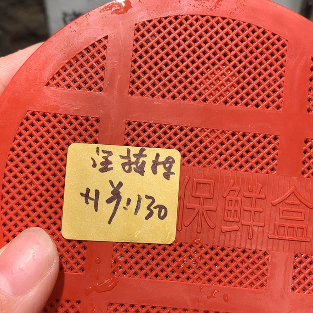 汪栋栋专拍奔跑家