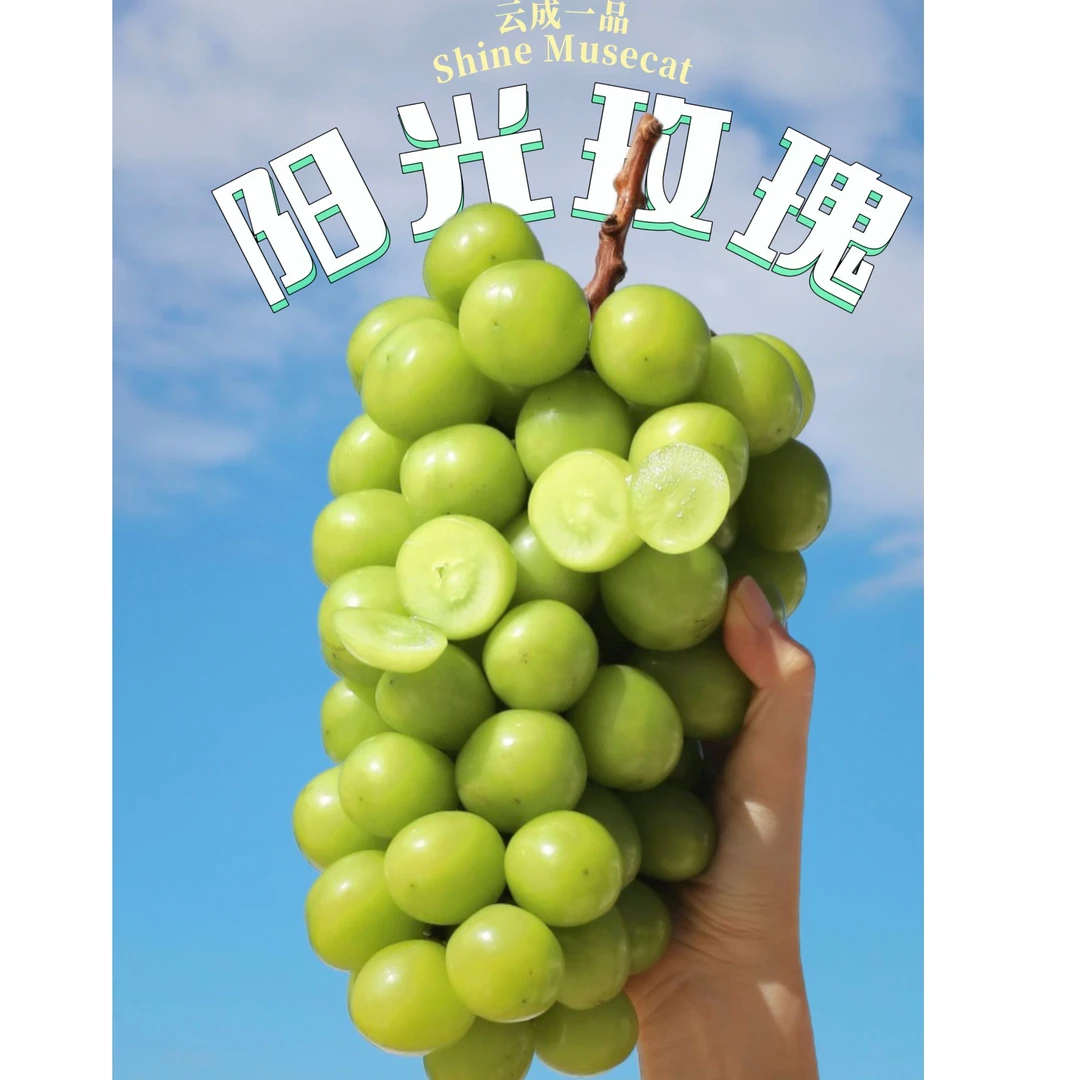 云南脆甜无籽香甜多汁应季孕妇阳光玫瑰葡萄陆运