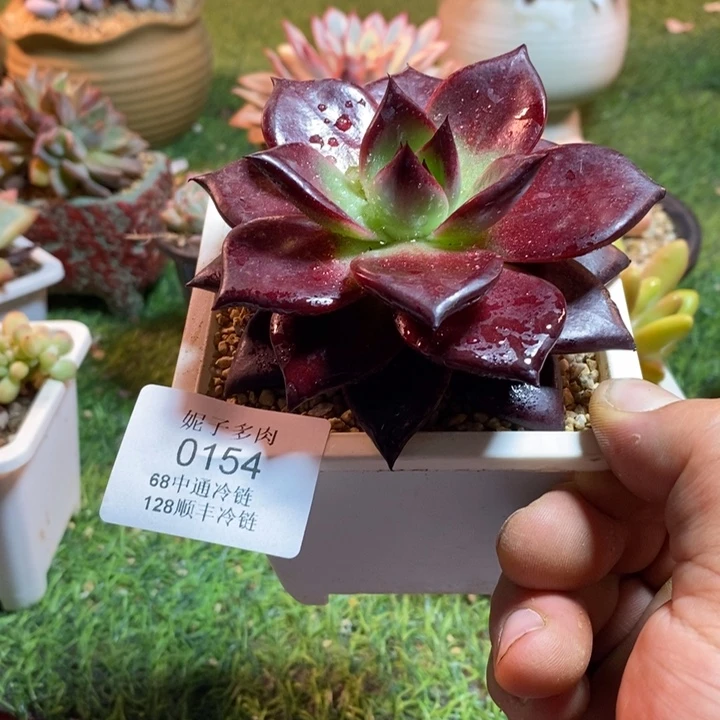 0154啊啊啊啊啊啊啊啊啊啊