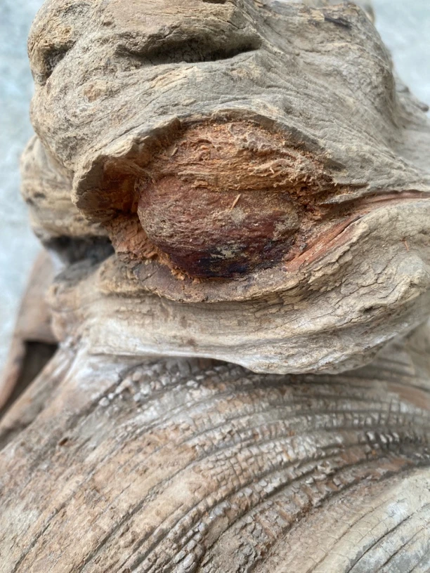 【木韵工厂】品名：白粉水泥骨樱子瘤