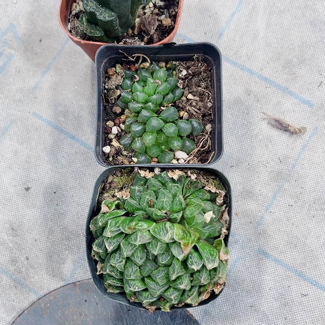 特价处理不包售后