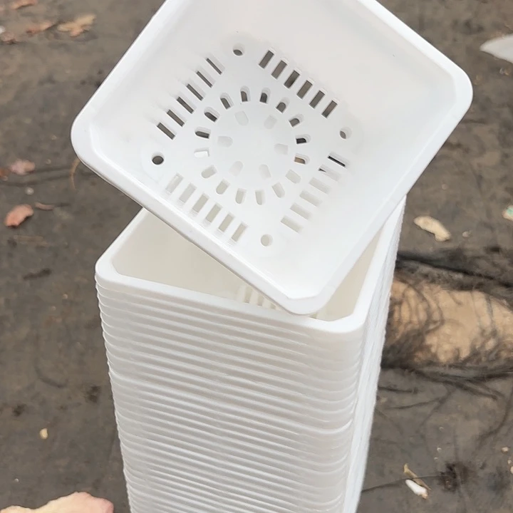 120白方盆11公分高8公分50个