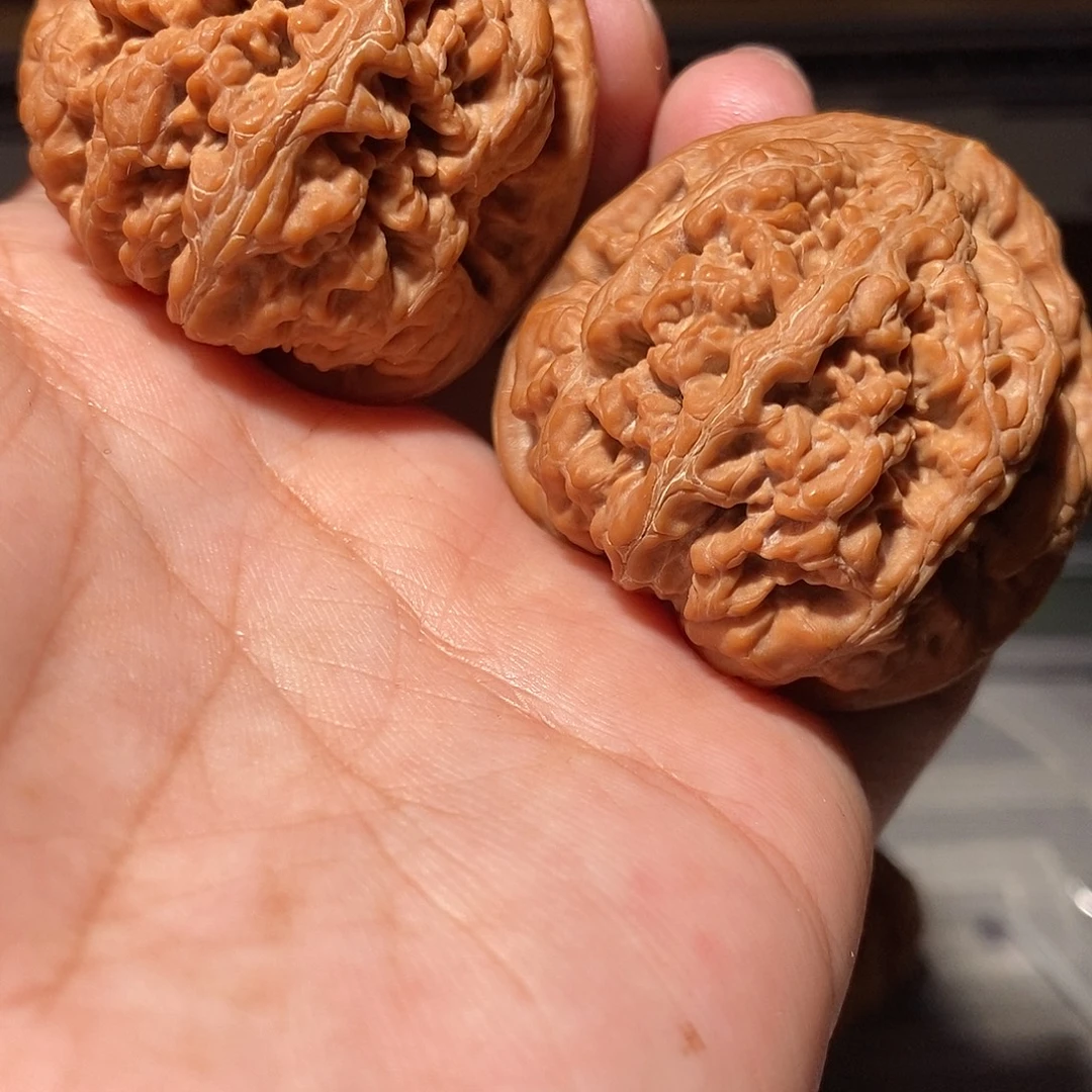 文玩核桃把件031平谷红皮原装大粗筋43尺全品