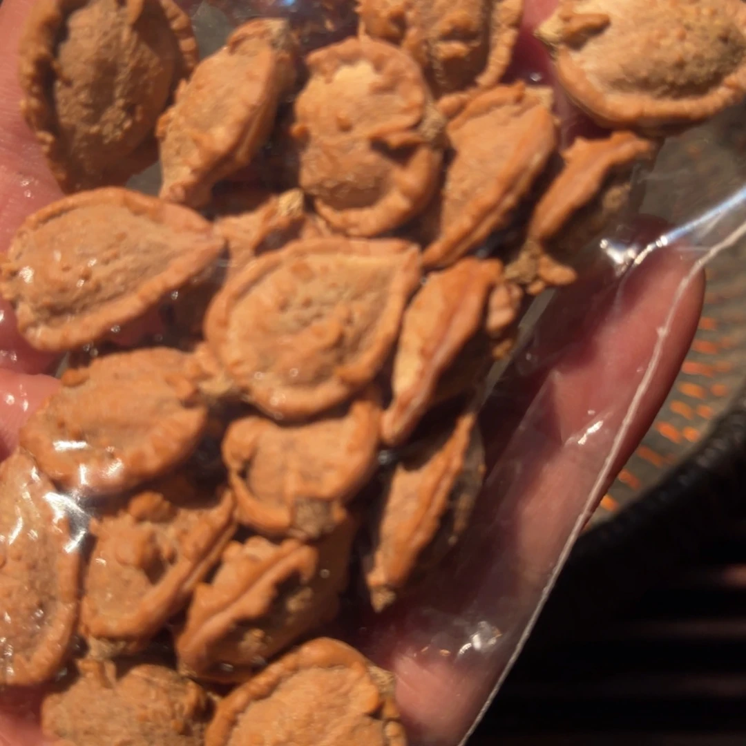 w***w吊坠文玩核桃嘎嘎嘎嘎