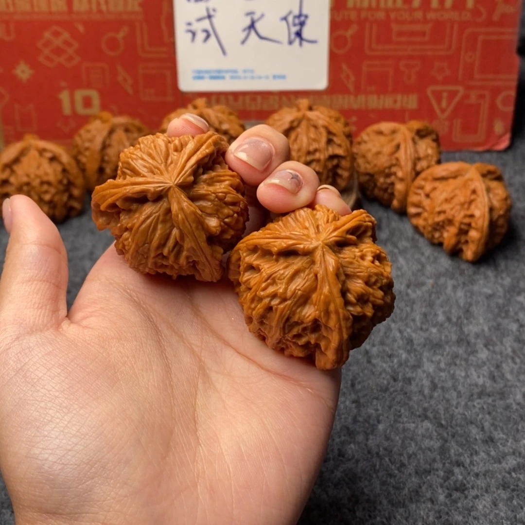 【闪购商品】杨*白狮子11111