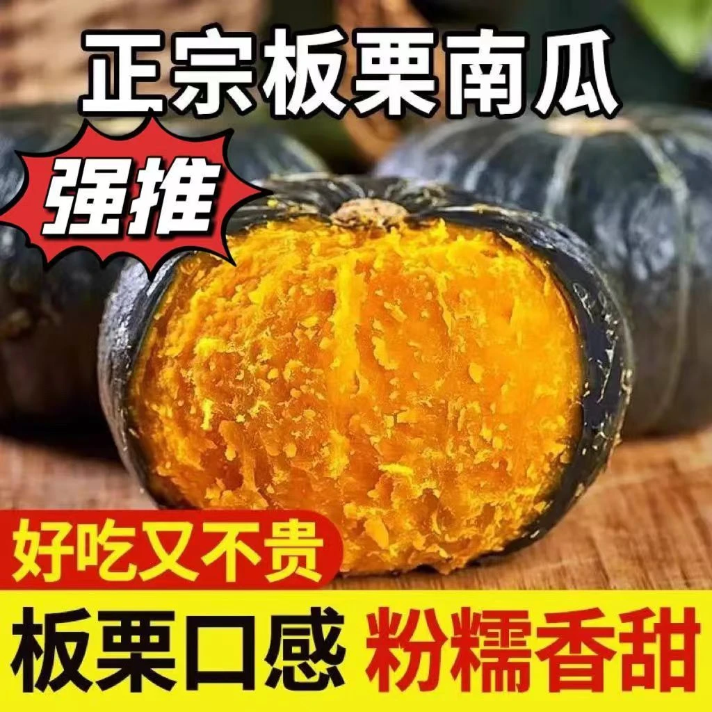 Y正宗沙地贝贝南瓜新鲜采摘粉糯香甜板栗味粗粮宝宝辅食