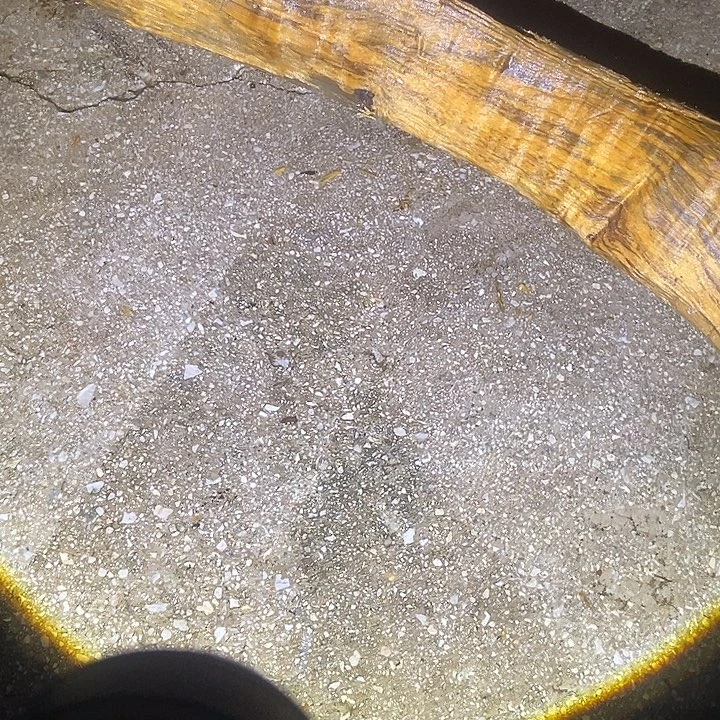 浅***行楠木（金丝楠）手串/手链