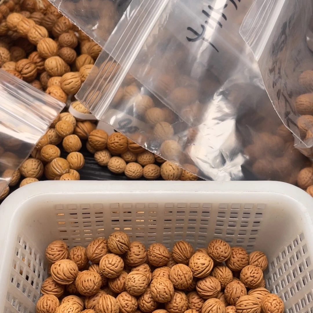 【闪购商品】新*散子批发150米