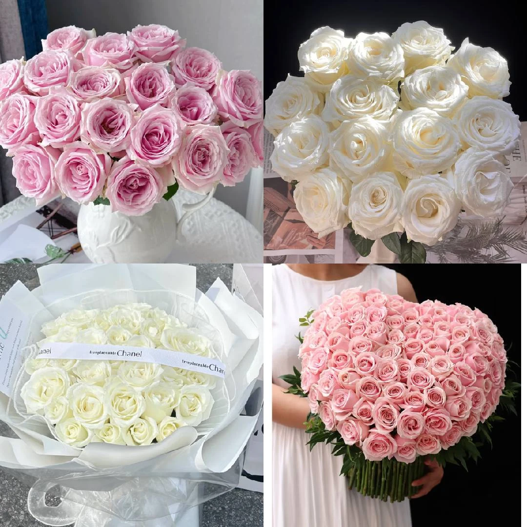 【玫瑰组合】高级花束 一单陆运/两单升级冷链发 云南鲜花