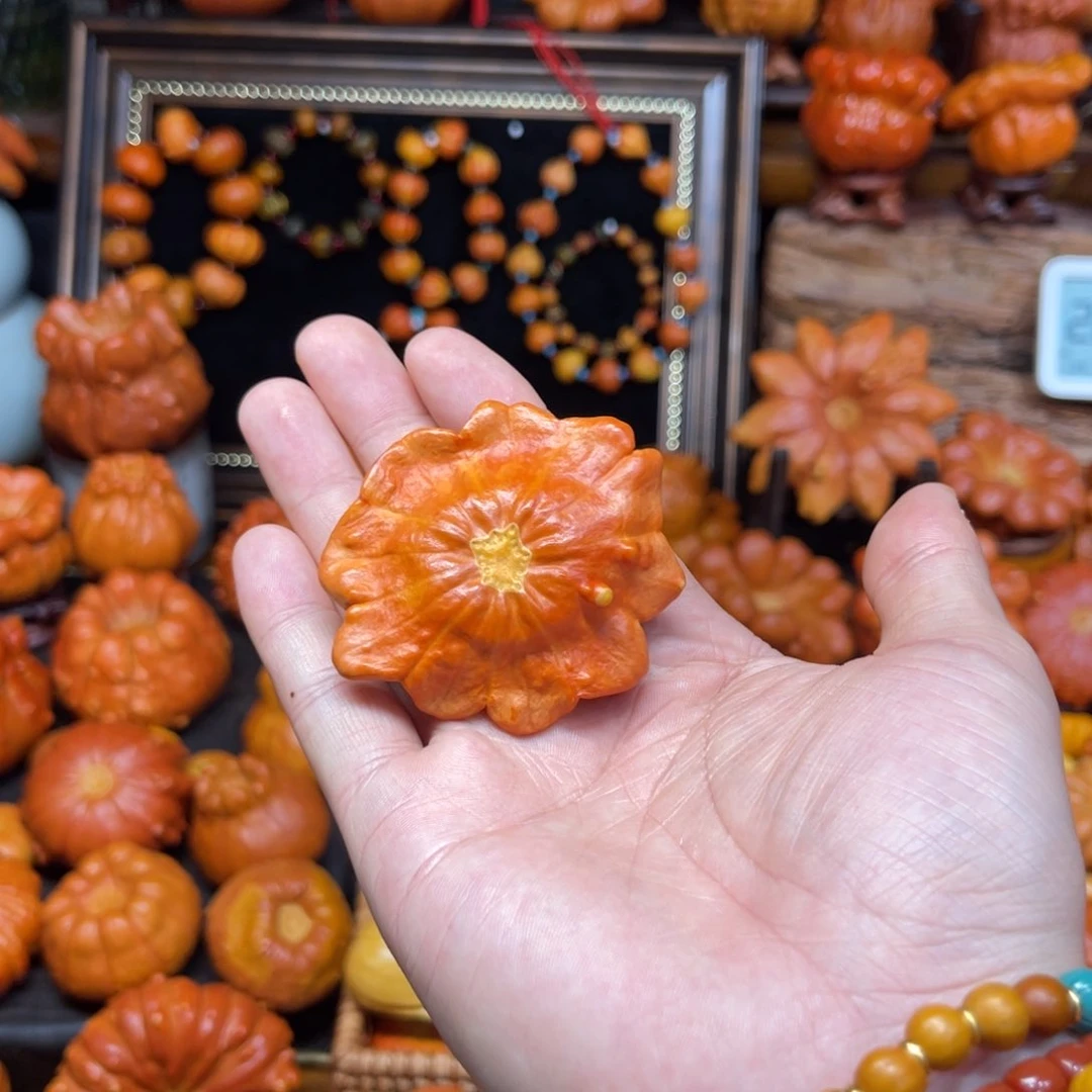 ✨****✨哈喽哈喽了葫芦厉害厉害厉害了