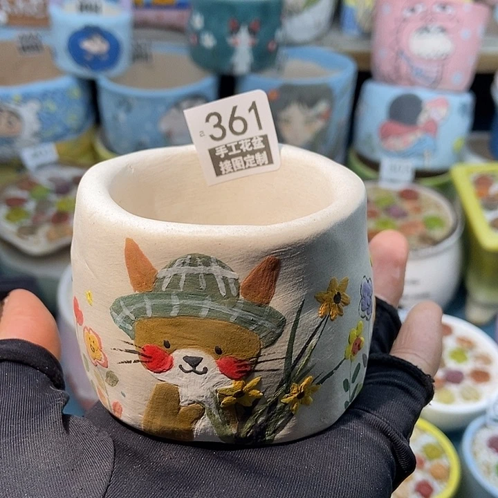 大舅生石花肉锥多肉361