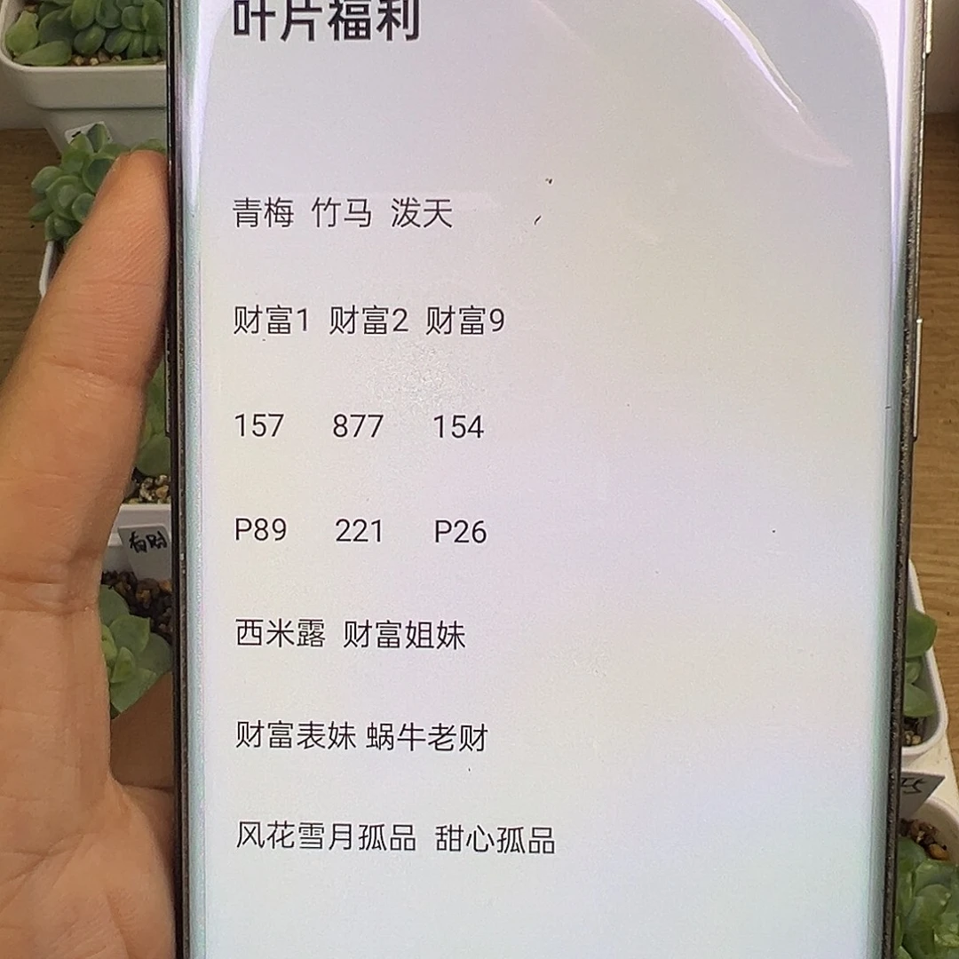 随机发20个叶片盲盒