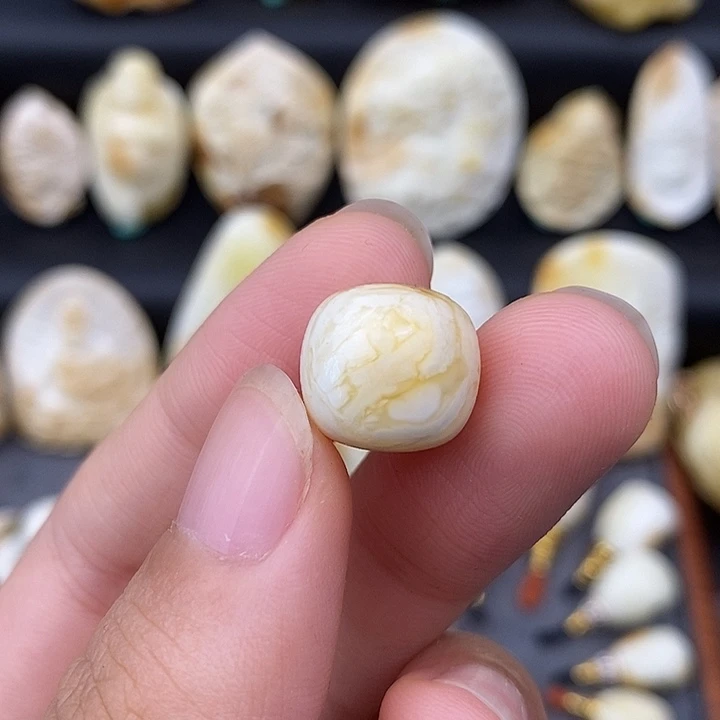 未镶嵌琥珀裸石13老邢a701
