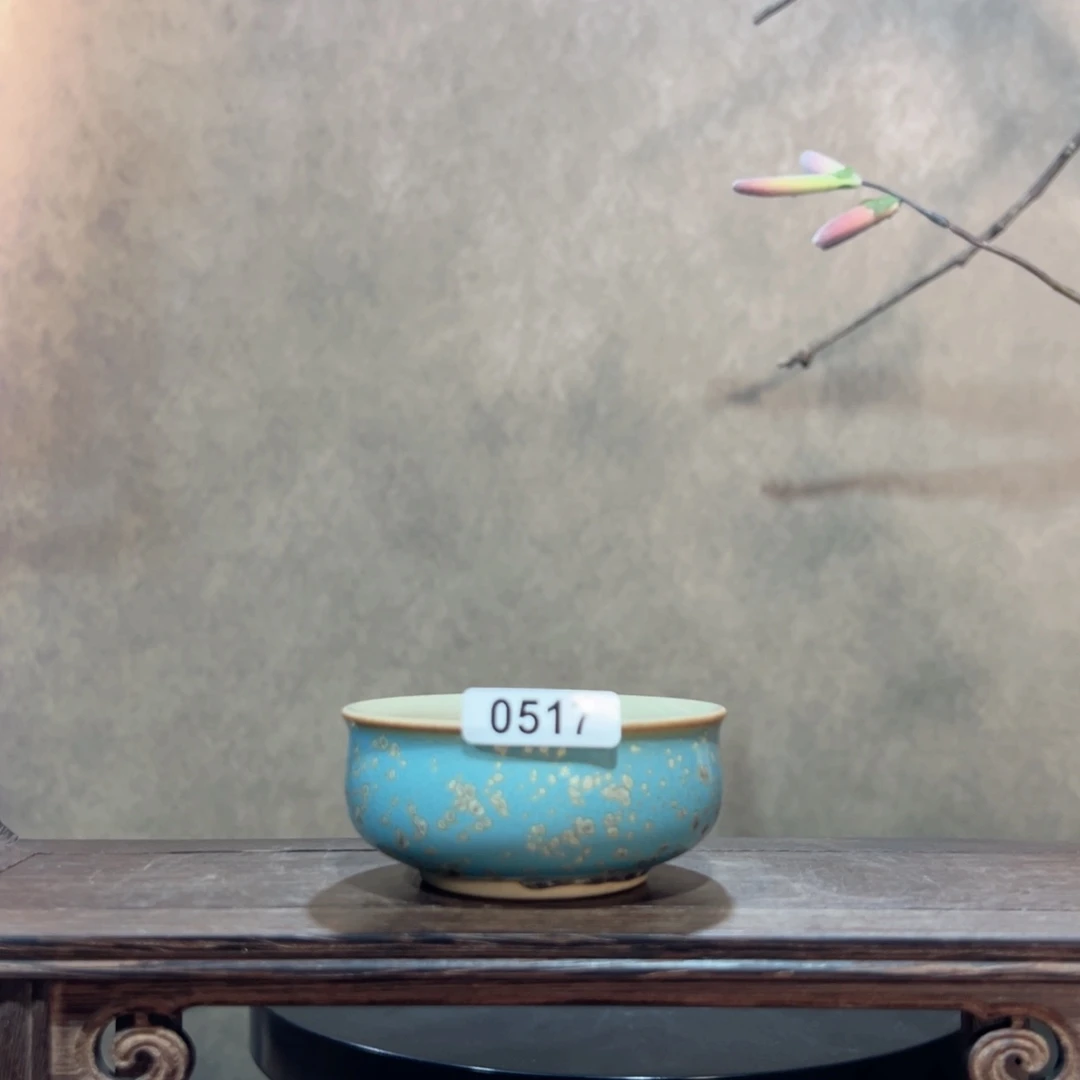 罐玫*玫0517000000000000000