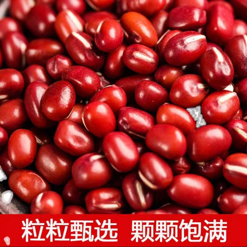 农家自产红豆  自种小红豆 粗粮 五谷杂粮 颗粒饱满 红豆沙煲汤