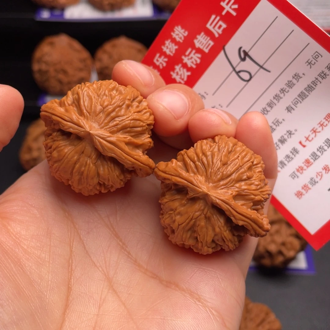 把件文玩核桃白狮子36.9尺