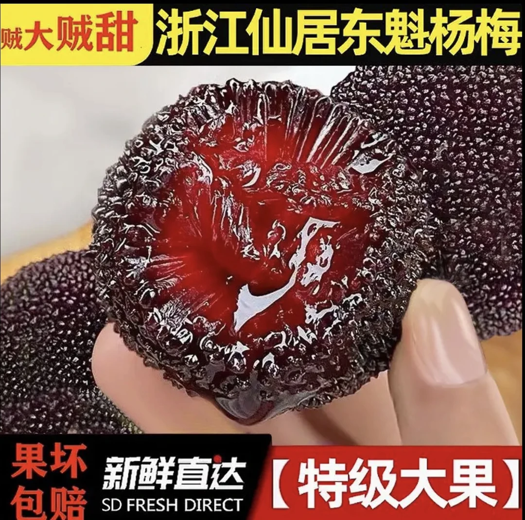 正宗浙江仙居杨梅新鲜东魁大杨梅鲜果颗粒装当季孕妇水果泡酒整箱