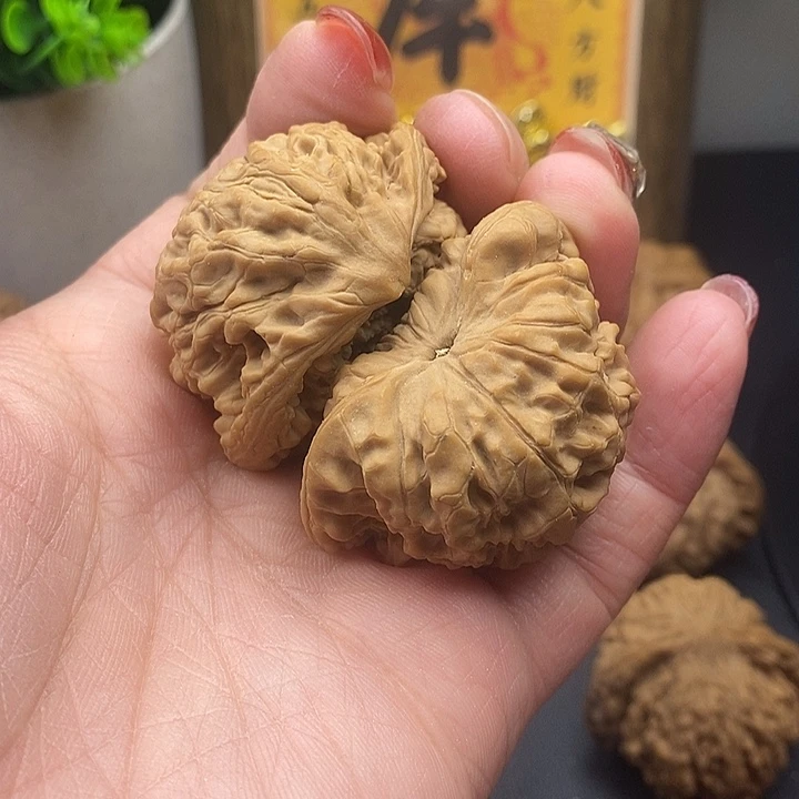 大叶紫檀（黑酸枝木类）聚宝盆44