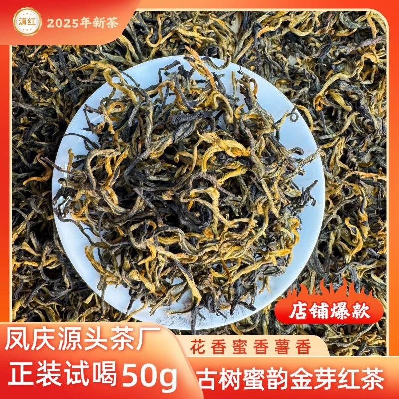 云南凤庆古树滇红 蜜韵金芽红茶
