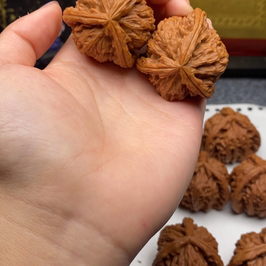 远***@白狮子11111111