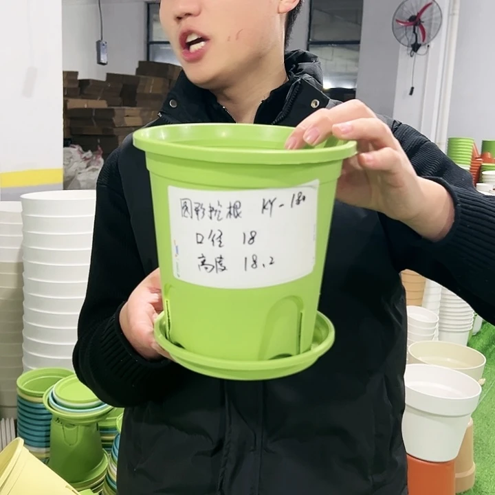 正品圆控18高18果绿色8只带托