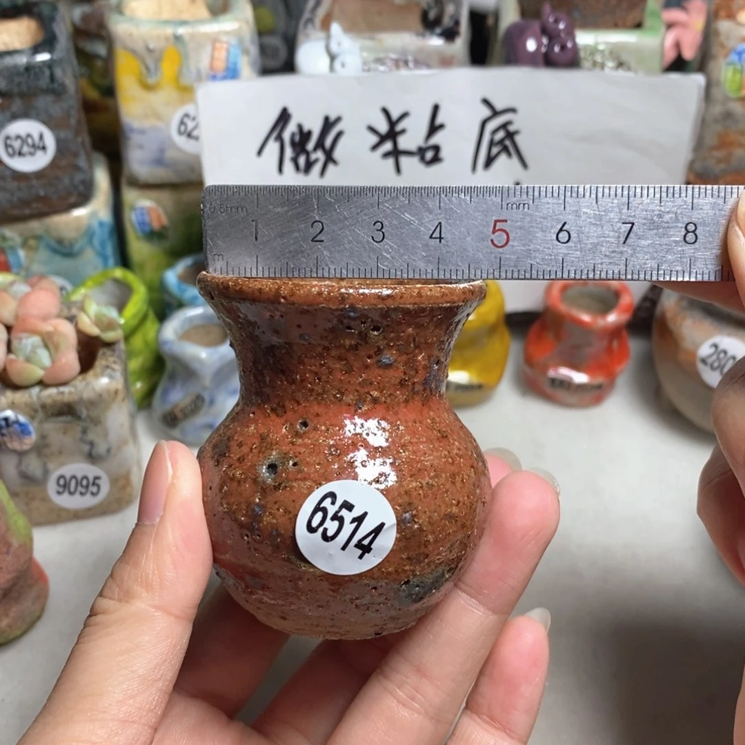 拍5送一个小礼物