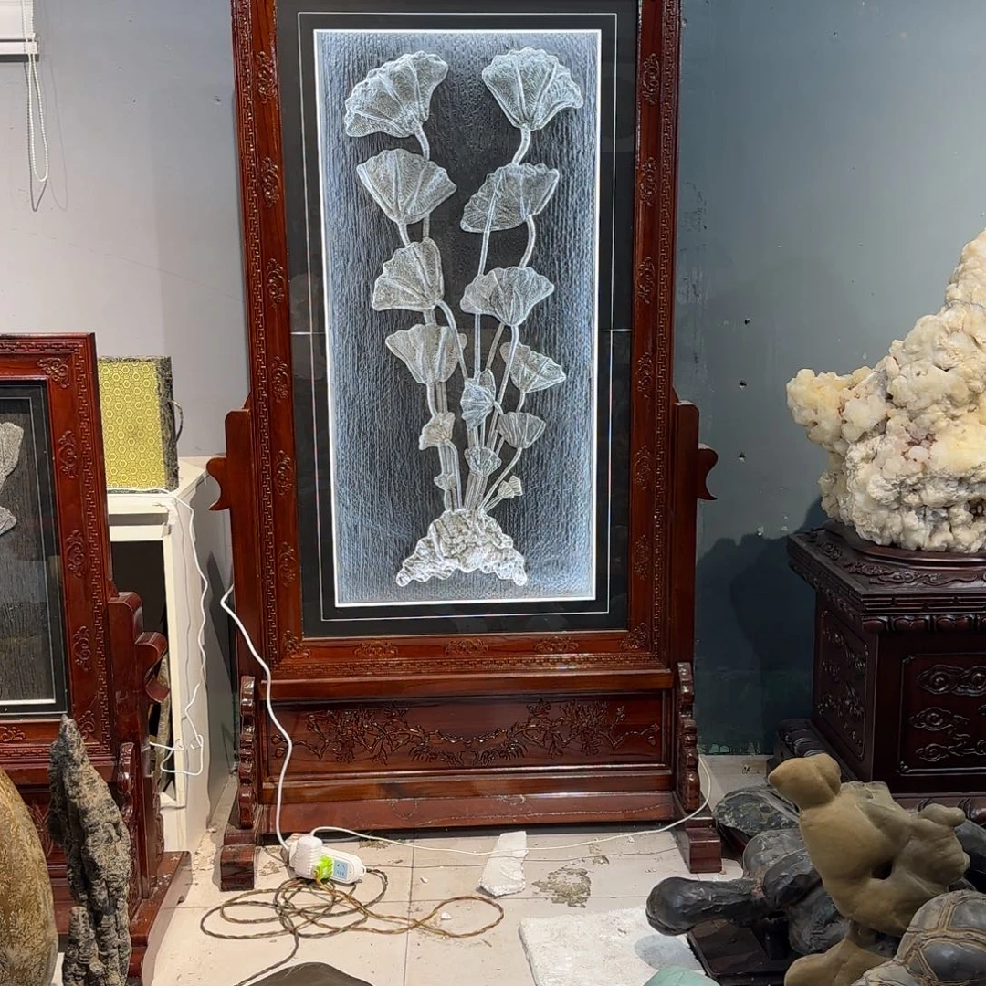 鹰***生海百合摆件的一个