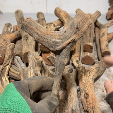 大果紫檀（缅甸花梨）N*