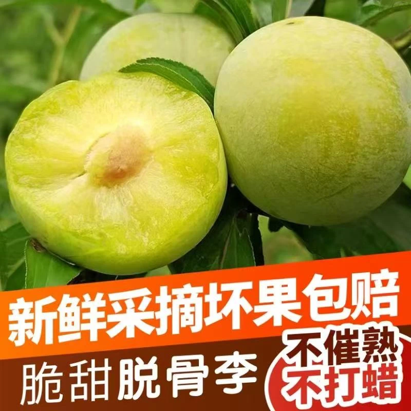 正宗脱骨李新鲜应季水果四川青脆李酸甜爽口