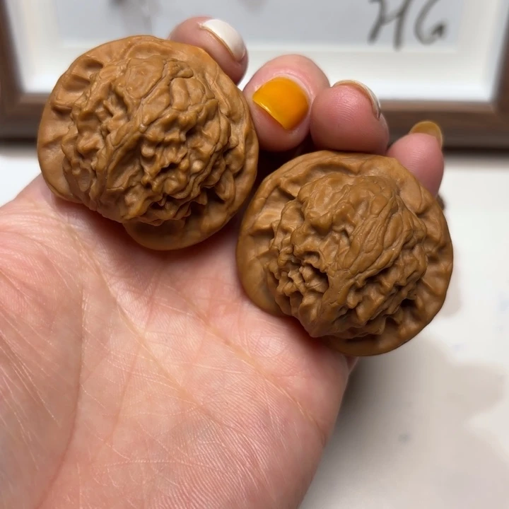 核桃大耳朵图图40尺寸