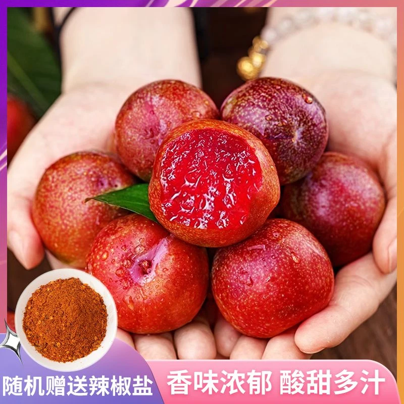 现货酸脆三华李正宗钱排山水双合三华李中果大果现摘现卖