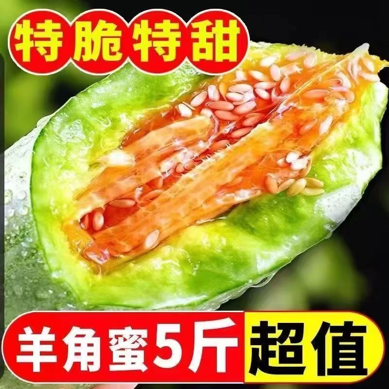 山东头茬羊角蜜甜瓜新鲜当季水果脆甜多汁