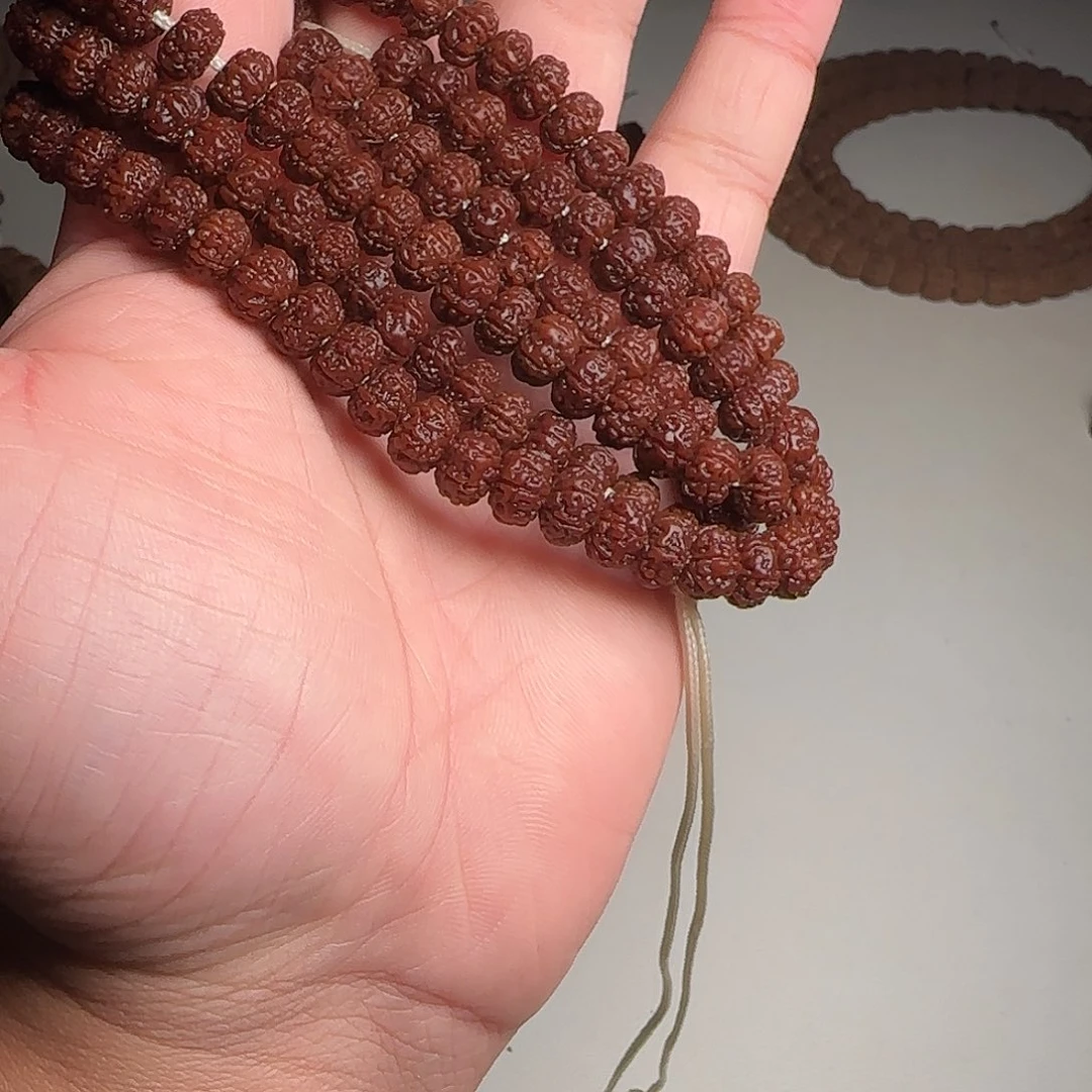 金刚菩提吊坠树王