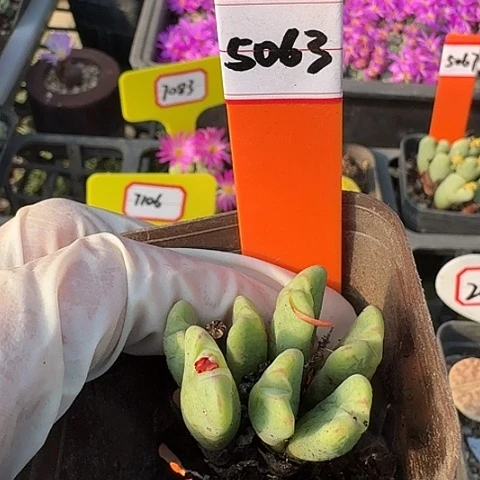 5063科技基金会哈哈哈哈