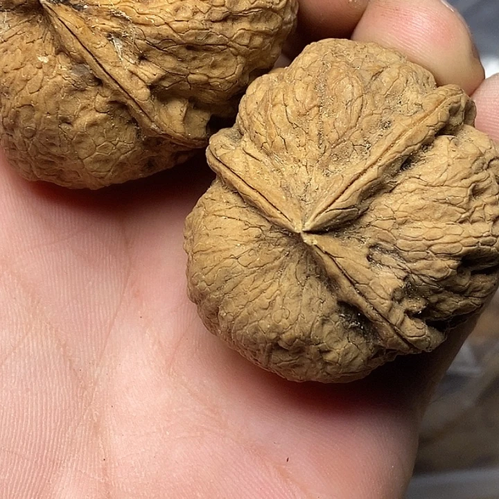 文玩核桃把件云南铁核桃B57