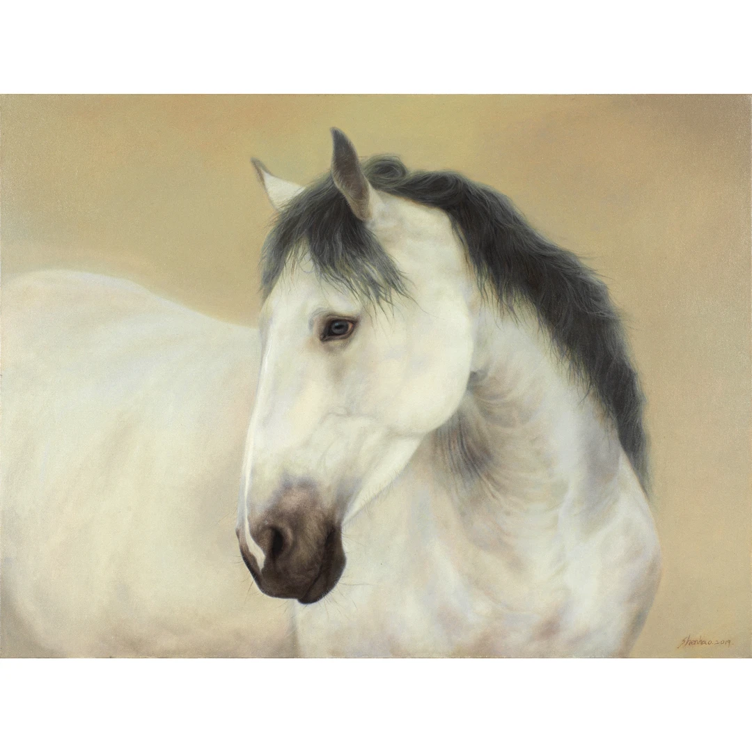 1799、申昊【素影静思1】60X80cm