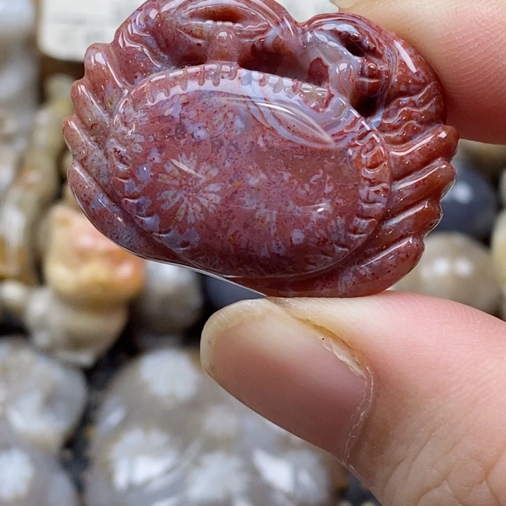 颈饰未镶嵌硅化珊瑚（珊瑚玉）