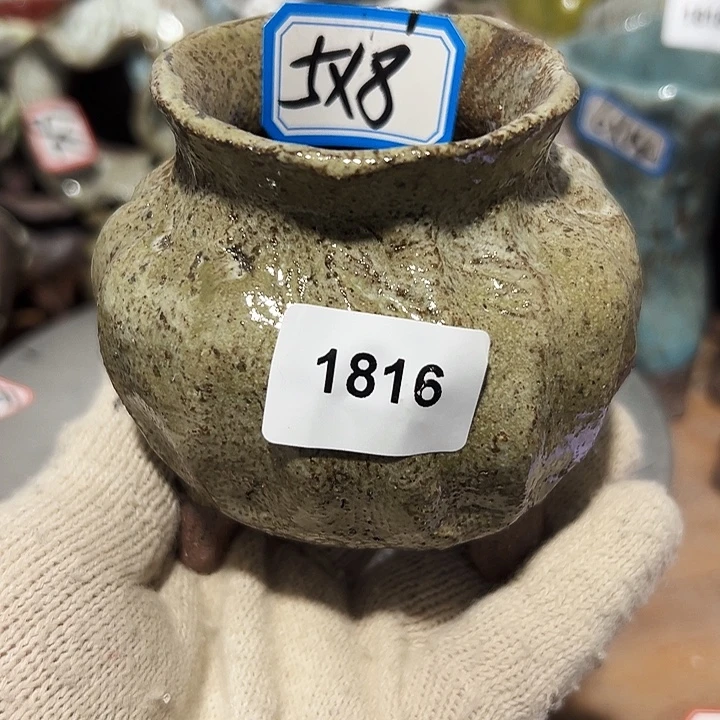 粗陶花盆，现在都不一样