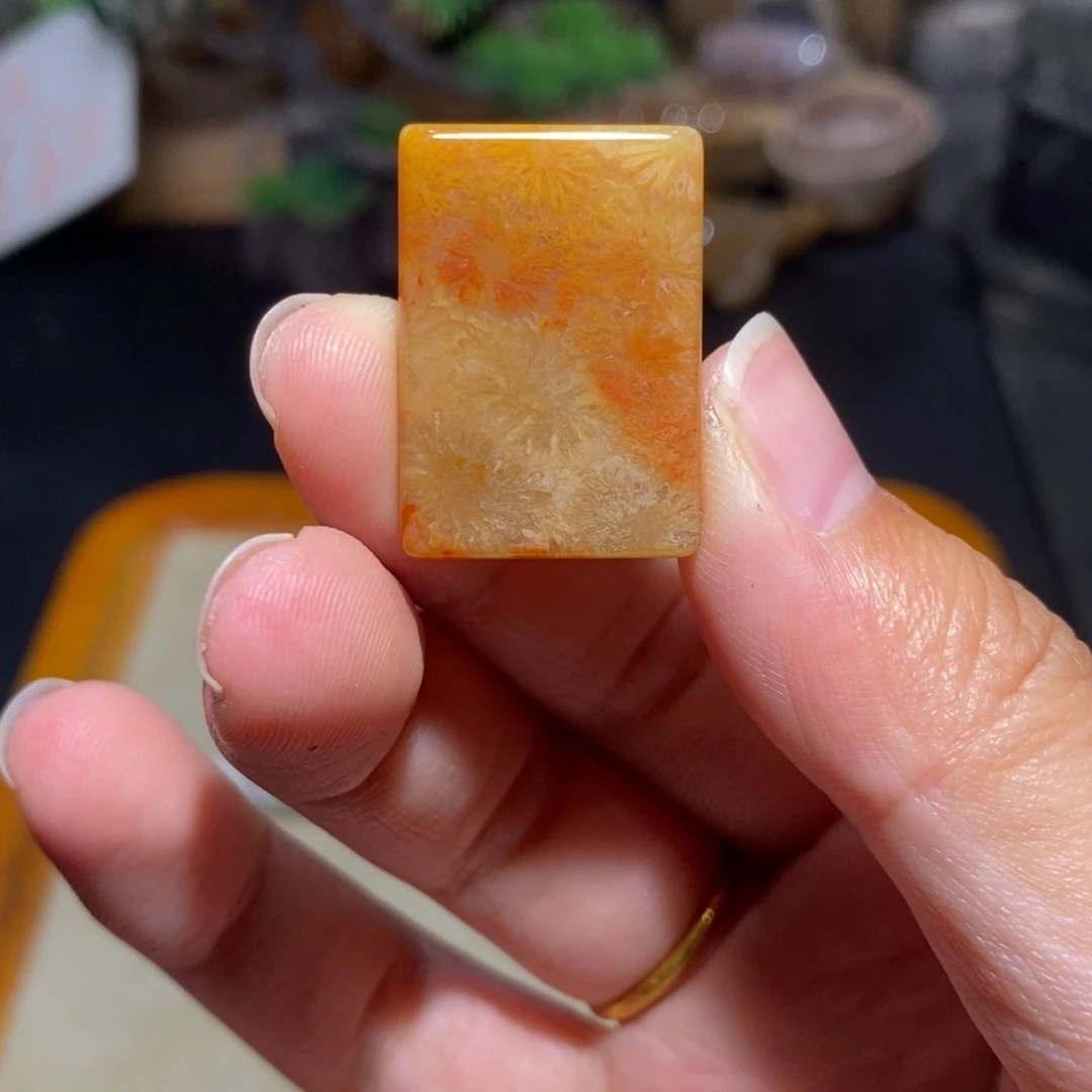 【闪购商品】硅化玉珊瑚玉未镶嵌