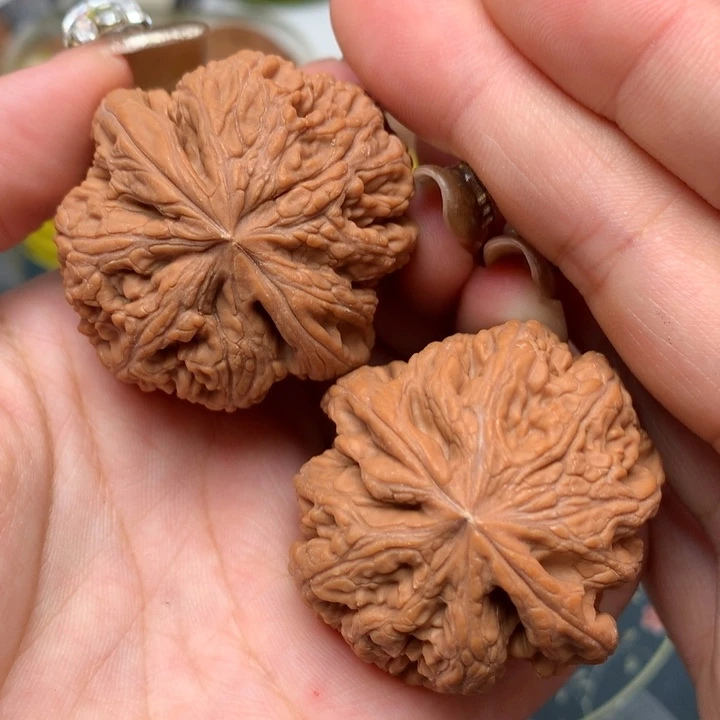 【闪购商品】吊坠文玩核桃43-28763-02
