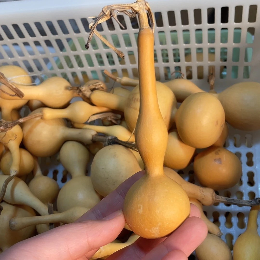 5***E葫芦已直播间为准