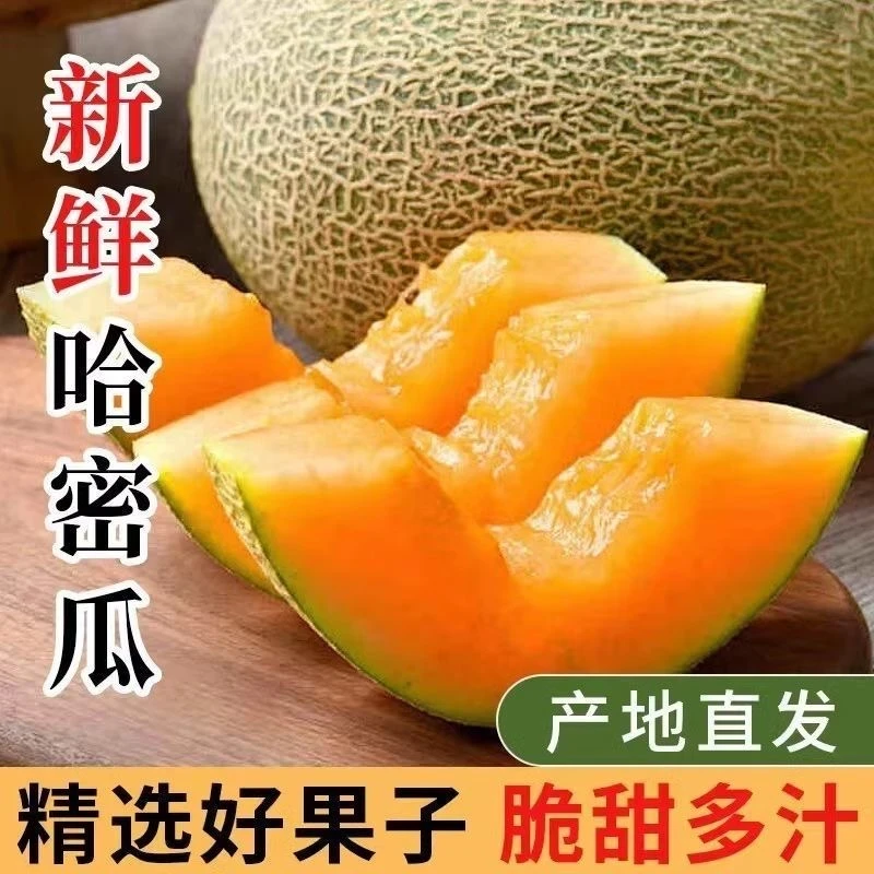 【KR】海南哈密瓜新鲜应季脆甜多汁当季甜瓜