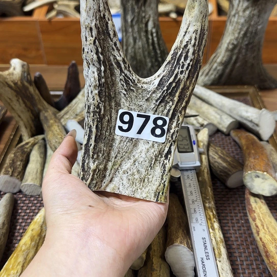 手串/手链鹿骨978摆件