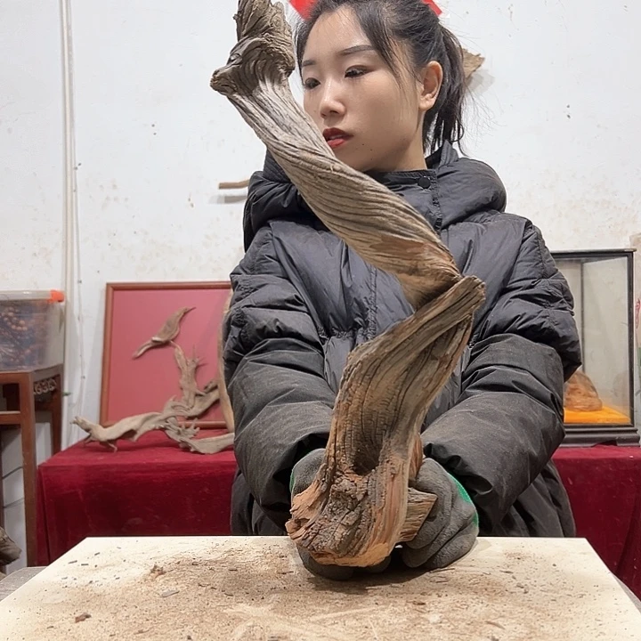 柏木欧****装我们的生活也