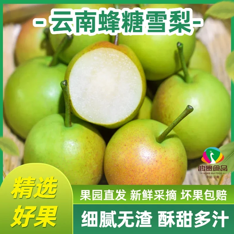 云南高原小蜜梨正宗新鲜现摘当季丁香梨蜜甜多汁口感细腻脆爽