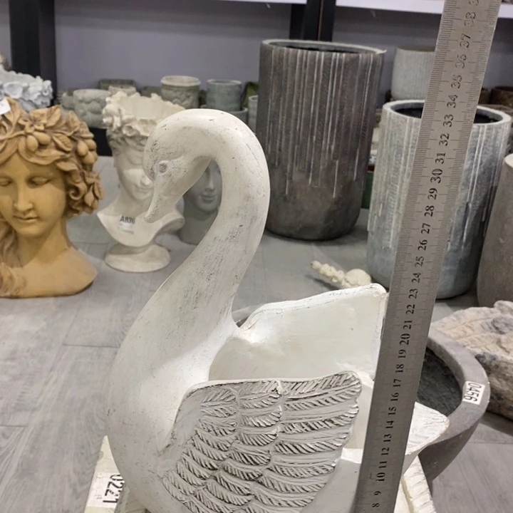 花盆5588888000000000000000