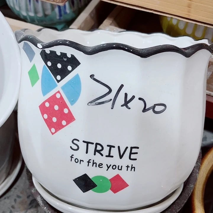 多肉植物陶瓷花盆