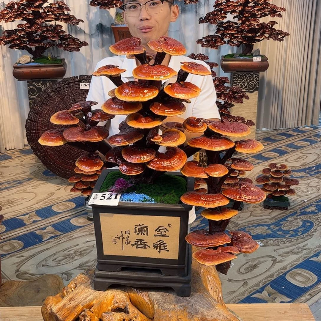 无花朵888888888888